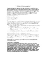 Prezentācija 'Olbaltumvielu funkcijas organismā', 16.