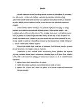 Referāts 'Grāmatvedības bilances izmantošana saimniecisko darījumu atspoguļošanā uzņēmumos', 3.