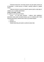 Referāts 'Grāmatvedības bilances izmantošana saimniecisko darījumu atspoguļošanā uzņēmumos', 5.