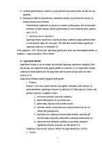 Referāts 'Grāmatvedības bilances izmantošana saimniecisko darījumu atspoguļošanā uzņēmumos', 7.