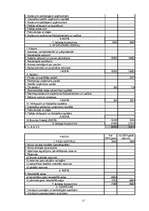 Referāts 'Grāmatvedības bilances izmantošana saimniecisko darījumu atspoguļošanā uzņēmumos', 17.