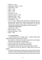 Prakses atskaite 'Prakses atskaite a/s "Rīgas starptautiskā autoosta"', 17.