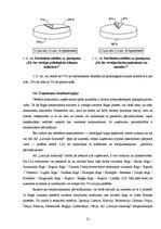 Prakses atskaite 'Prakses atskaite a/s "Rīgas starptautiskā autoosta"', 20.