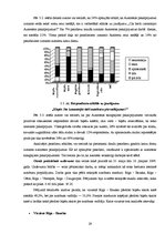 Prakses atskaite 'Prakses atskaite a/s "Rīgas starptautiskā autoosta"', 28.