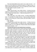 Prakses atskaite 'Prakses atskaite a/s "Rīgas starptautiskā autoosta"', 29.