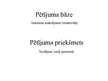 Referāts 'Maksājumi internetā un to drošība', 5.