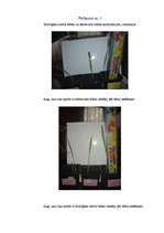 Referāts 'Bioenerģijas izmantošana un koncentrēšana piramīdā', 25.