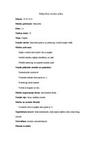 Konspekts 'Mājturības stundas plāns', 1.