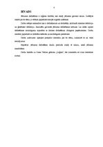 Referāts 'Jēdziena definēšana', 4.