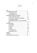 Referāts 'Maksātnespējas analīze', 2.