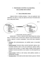 Referāts 'Maksātnespējas analīze', 7.