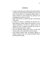 Referāts 'Maksātnespējas analīze', 28.