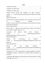 Referāts 'Nabadzības riska indekss', 3.