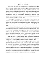 Referāts 'Nabadzības riska indekss', 5.