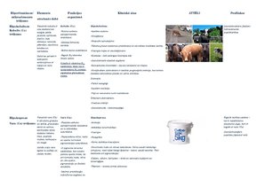 Konspekts 'Hipovitaminozes, mikroelementa trūkums', 1.