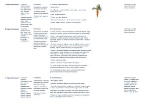 Konspekts 'Hipovitaminozes, mikroelementa trūkums', 3.