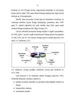Diplomdarbs 'Līzings un tā attīstība Latvijas Republikā', 55.