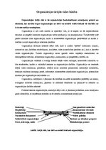 Konspekts 'Organizācijas ārējā vide', 2.