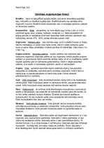 Konspekts 'Dzīvības organizācijas līmeņi', 1.