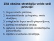Prezentācija 'Zilā okeāna stratēģija', 5.