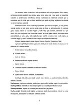 Referāts 'Lietišķais pētījums - atpūtas un izklaides piedāvājuma daudzveidība nedēļas noga', 4.