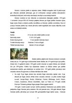 Referāts 'Lietišķais pētījums - atpūtas un izklaides piedāvājuma daudzveidība nedēļas noga', 15.