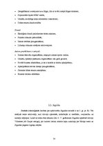 Referāts 'Lietišķais pētījums - atpūtas un izklaides piedāvājuma daudzveidība nedēļas noga', 34.