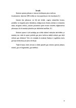 Referāts 'Rotatoru aproces plīsumi', 4.