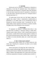 Referāts 'Rotatoru aproces plīsumi', 6.