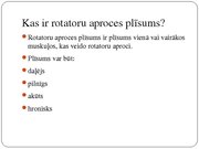 Referāts 'Rotatoru aproces plīsumi', 17.