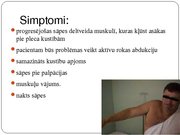 Referāts 'Rotatoru aproces plīsumi', 18.