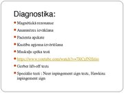 Referāts 'Rotatoru aproces plīsumi', 20.