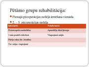 Referāts 'Rotatoru aproces plīsumi', 27.