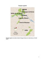 Referāts 'Vīna gatavošana Francijā. Šampanietis', 7.