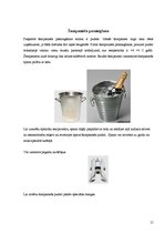 Referāts 'Vīna gatavošana Francijā. Šampanietis', 15.