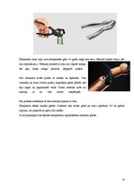 Referāts 'Vīna gatavošana Francijā. Šampanietis', 16.