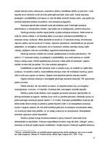 Referāts 'ASV politiskā sistēma', 10.