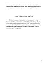 Referāts 'ASV politiskā sistēma', 13.