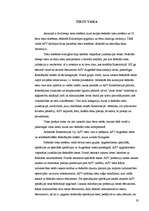 Referāts 'ASV politiskā sistēma', 17.