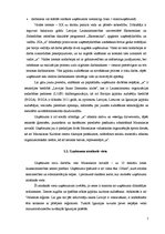 Biznesa plāns 'Ķiploku audzēšana', 5.