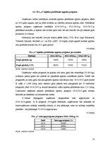 Biznesa plāns 'Ķiploku audzēšana', 16.