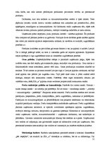 Biznesa plāns 'Ķiploku audzēšana', 21.