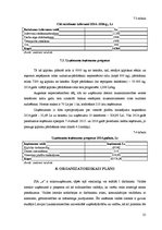 Biznesa plāns 'Ķiploku audzēšana', 25.