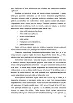 Biznesa plāns 'Ķiploku audzēšana', 26.