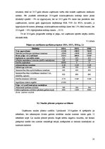 Biznesa plāns 'Ķiploku audzēšana', 28.