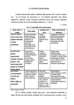 Biznesa plāns 'Ķiploku audzēšana', 31.