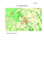 Biznesa plāns 'Ķiploku audzēšana', 52.