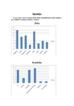 Konspekts 'Izplatītākā kosmētika jauniešu vidū', 12.