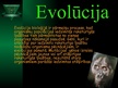 Prezentācija 'Evolūcija', 2.