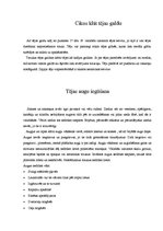 Referāts 'Zaļā tēja', 11.